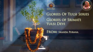 The Glories Of Tulsi Maharani From The Skanda Purana [upl. by Schuler]