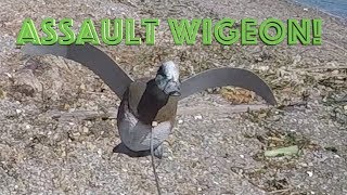 Assault Wigeon [upl. by Yevi]