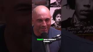 Joe Rogan and Kevin Smith on Quentin Tarantino joerogan kevinsmith quentintarantino [upl. by Polak805]