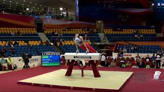 HERDER Philipp GER  2018 Artistic Worlds Doha QAT  Qualifications Pommel Horse [upl. by Farant662]