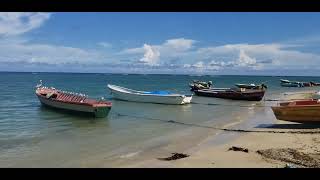 Falmouth Jamaica Fishing 🎣 Village fishing falmouthjamaica village [upl. by Hoffert]