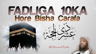 FADLIGA 10 HORE EE DULXIJA CARAFA ᴴᴰ┇ Sh Maxamuud Xaliike [upl. by Enaenaj]