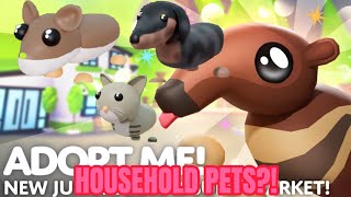 Adopt Me HOUSEHOLD EGG  HOW THIS WORKS  Roblox [upl. by Asillem790]