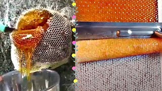 MOST AMAZING HONEYCOMB UNCAPPINGOddly Satisfying ASMR [upl. by Enram]