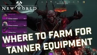 Where to farm for the Tanners set in New World and what you need to know December 2022 [upl. by Nwhas]