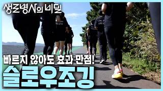 본방 종합 느리게 달려도 효과 만점 슬로우조깅을 아십니까🏃  KBS 241030 [upl. by Rossi]