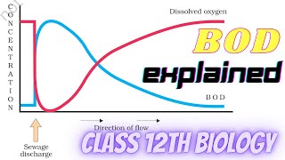 Part 3 Environmental issuesBiochemical oxygen DemandBODWater PollutionNcert class 12th bio [upl. by Tat459]