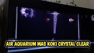 Air aquarium crystal clear hanya pakai top filter [upl. by Noved950]