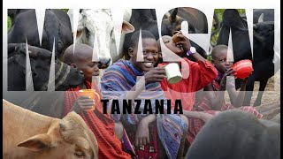 Tanzania  Maasai village [upl. by Darrel]