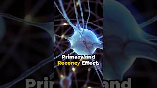 Primacy and Recency Effect Primacy and Recency Bias in Decision Making 🔥 PsychologicalEffects [upl. by Ilak]