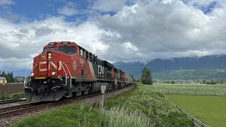 Last Train Of The Day CN 809 Grain Train  Rosedale BC Canada 25MAY24 ES44AC 3867 Leading [upl. by Marlette]