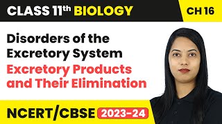 Disorders of the Excretory System  Excretory Products and Their Elimination  Class 11 Biology CBSE [upl. by Starling]