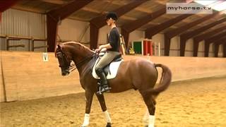 Dressage Exercise  Walk Pirouettes [upl. by Aseram]