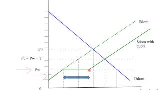 11f the effects of an import quota [upl. by Oriole]