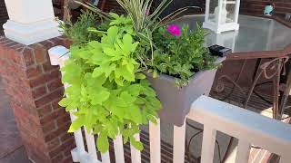 The HC Companies 24 Inch Deck Railing Planter Box Review [upl. by Whitehurst807]