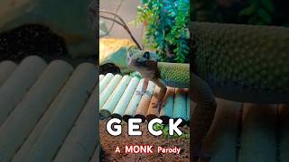 GECK A Parody of MONK adrianmonk leopardgecko funnyanimal lieutenantpancake [upl. by Ailuy]