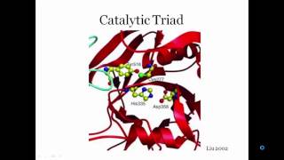 Transglutaminase [upl. by Assirk]