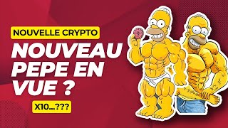 🚨Cette nouvelle crypto est déjà prisée par le Exchange Nouveau PEPE en vue [upl. by Cul]