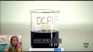 Understanding the DCPIP Lab [upl. by Acirretahs43]