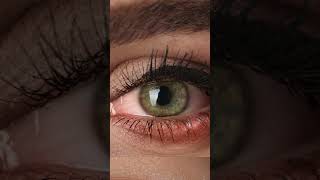 Why Your Eyes Have Special Immunity Privileges shorts shortvideo [upl. by Benjie]