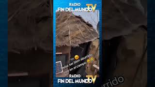 😅🎶👉🏽 𝙎í𝙜𝙪𝙚𝙣𝙤𝙨 𝙚𝙣 radiofindelmundotv ⭐️ radiofindelmundotv futbol Reels [upl. by Anale]