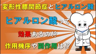 変形性膝関節症とヒアルロン酸 ヒアルロン酸の注射って効果ある⁉ ロキソニン以外の薬についても解説‼ 【医師が解説】 [upl. by Assilla]