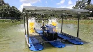 Solar Powered Paddle Wheel Aerator [upl. by Bartolomeo15]