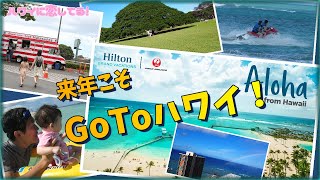 【ヒルトンタイムシェア】2022年4月ハワイ旅行予告＆HGVC初心者オーナー向け予約手順解説とリザーブドポイントの使い方  JAL特典航空券  プレミアムエコノミー  ペントハウス [upl. by Nerral]