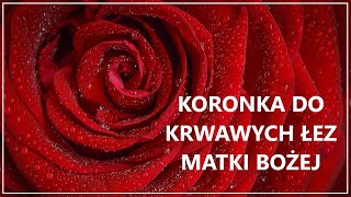 KORONKA DO ŁEZ MATKI BOŻEJ  Koronka do łez Matki Boskiej  Koronka do krwawych łez Maryi [upl. by Summers583]