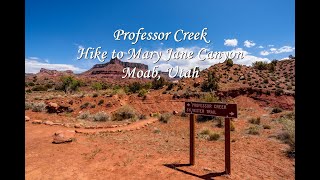 Professor Creek Hike To Mary Jane Canyon Moab Utah [upl. by Crichton]