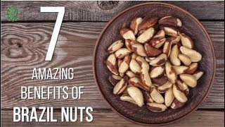 7 Amazing Benefits Of Brazil Nuts  Organic Facts [upl. by Dleifxam]