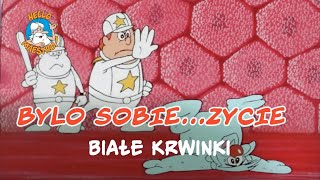 Bylo Sobie Zycie 🌱  Białe krwinki 🧘 [upl. by Latvina]