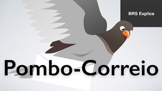 Pombo Correio  História e Curiosidades [upl. by Hesketh]