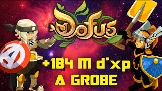 184M Dxp à Grobe au lvl 164  DOFUS [upl. by Hadria]