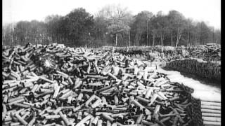 French Army artillery during World War I HD Stock Footage [upl. by Ibur]