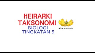 Heirarki Taksonomi [upl. by Marilyn]