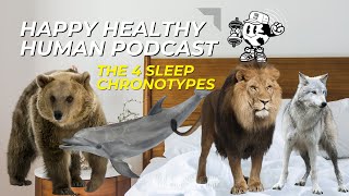 HHH PODCAST The 4 Sleep Chronotypes [upl. by Angelle754]