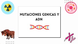 Mutaciones y ADN 101 [upl. by Initof419]