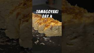 Cooking Tamagoyaki Everyday Until Perfect🔥 Day4 Tamagoyaki japanesefood egg omelette eggrecipe [upl. by Wallis623]