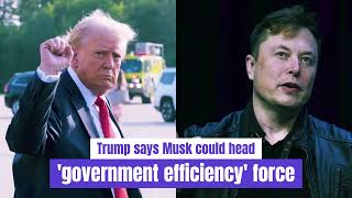 JUST IN Trump Says Elon Musk Has Agreed To Head Government Efficiency Task Force [upl. by Ennasor111]