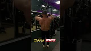 Cable Face Pull Workout 💪💯 gymmotivation fitness bodybuilding gymworkout Care fitness Club 🌹 [upl. by Renrag]