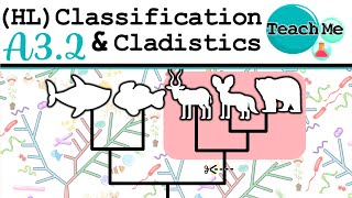 A32  Classification amp Cladistics HL  IB Biology [upl. by Christi]