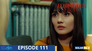 Forbidden Fruit Episode 111  FULL EPISODE  TAGALOG DUB  Turkish Drama [upl. by Sixela]