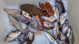 Gill Netting  Big Flatfish Catch Clean Cook  Squid  Crabs amp Great Boat Fishing [upl. by Nnayllas552]