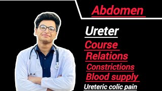 Ureter course  relations contrictions blood supply [upl. by Cagle]