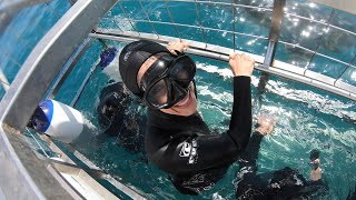 Shark Cage Diving in South Africa [upl. by Junna]