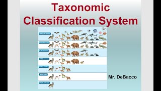 Taxonomic Classification [upl. by Selmore]