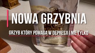 Kupiłam nową grzybnię  Ciekawe czy to się uda  prostoismacznie4151 [upl. by Belsky]