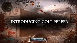 Introducing Colt Pepper by Colt RZY [upl. by Hill]