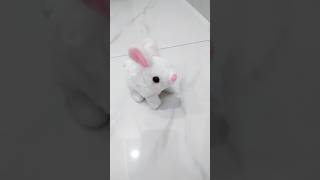 Toy Bunny toys bunny rabbit viralvideo animals mustwatch cute wildlife kidsvideo toddlers [upl. by Kelli91]